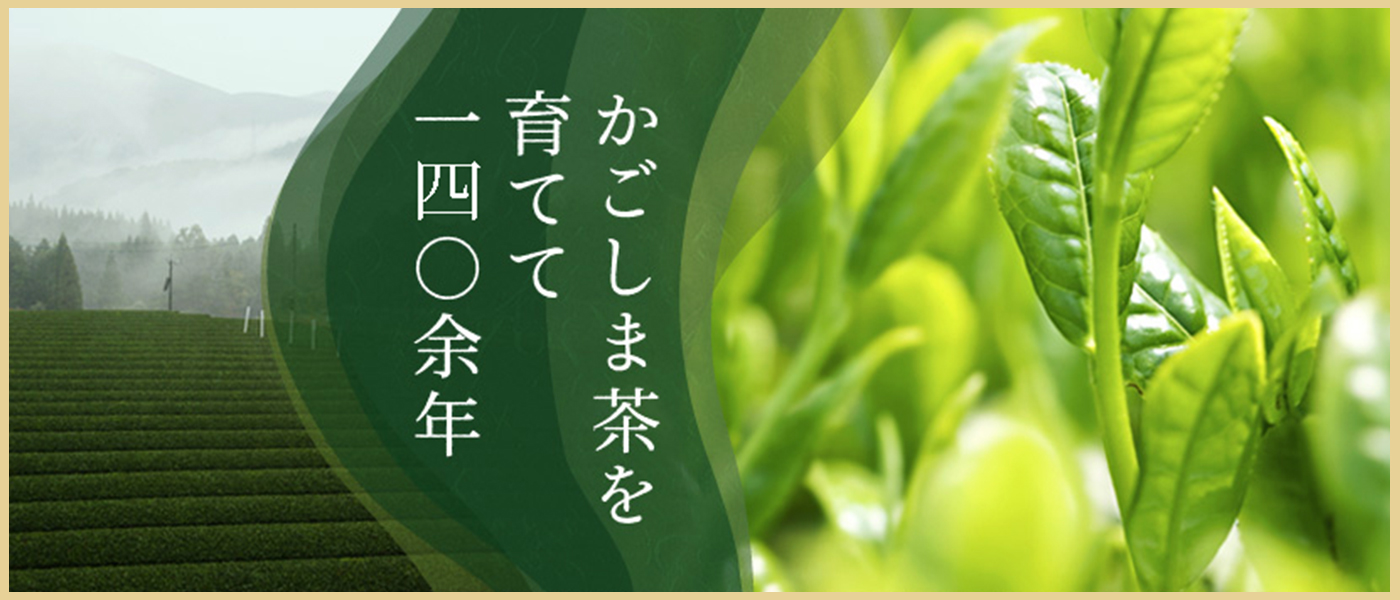 ★応募が定員に達したため募集を締め切らせていただきました★＜ 第1弾 無料体験 ＞ 鹿児島お茶の美老園で抹茶体験 五感で楽しむウェルネスなひとときの写真2