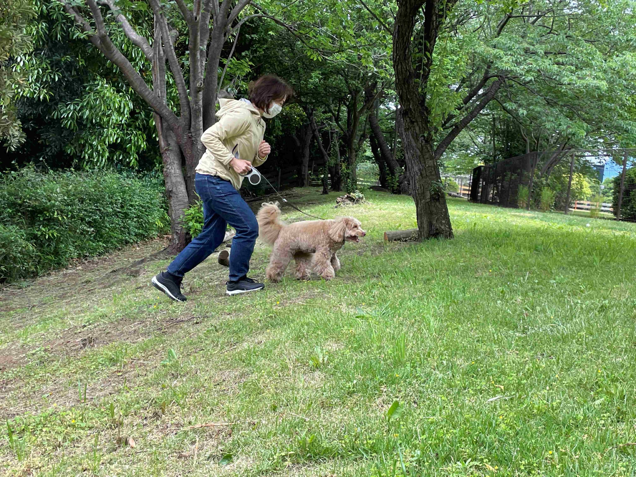 愛犬の介護予防のためのお散歩術～犬も飼い主も足腰が大事〜の写真5